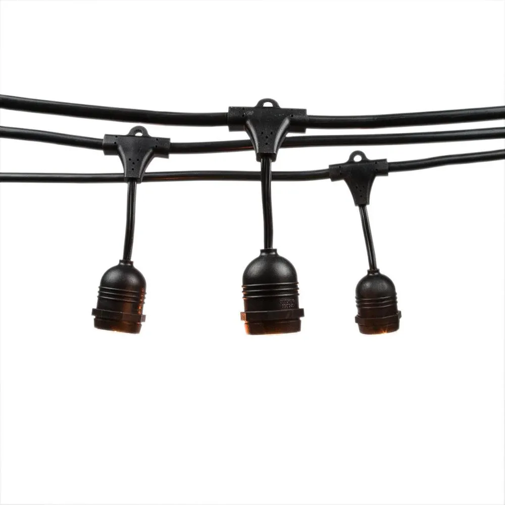 10 Suspended Socket Outdoor Commercial String Light Set, 21 FT Black Cord w/ 0.8-Watt Shatterproof LED Bulbs, Weatherproof SJTW