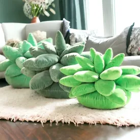 Plush Cactus Cushions